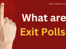 What is Exit Polls |Livemins|